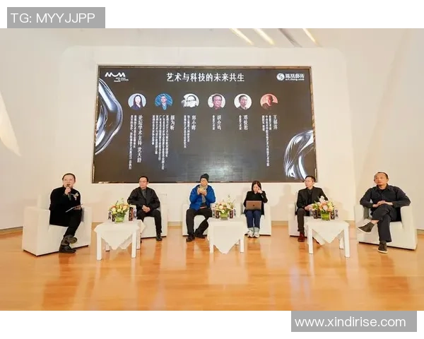 飞盘运动的崛起与陈娜的成功秘诀深度探讨